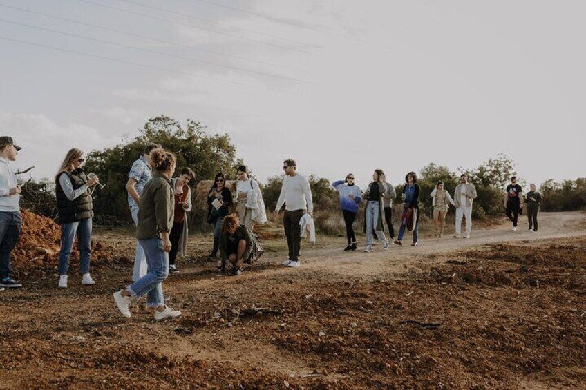 Walk through the fields to the vineyard