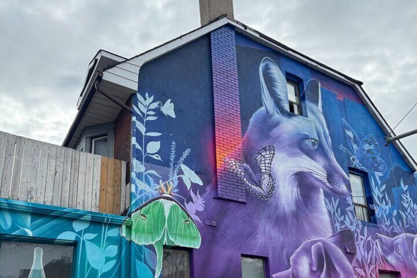 Toronto Street Art and Graffiti Walking Tour