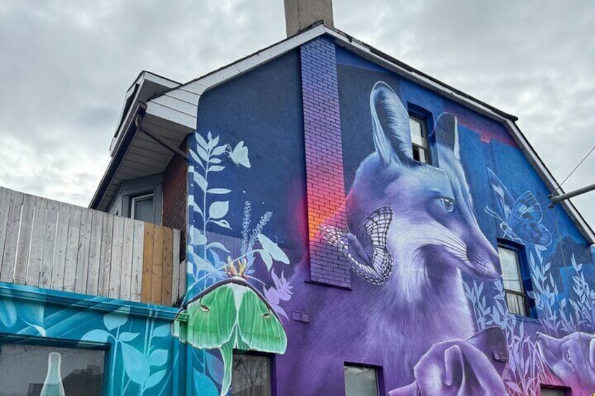 Toronto Street Art and Graffiti Walking Tour