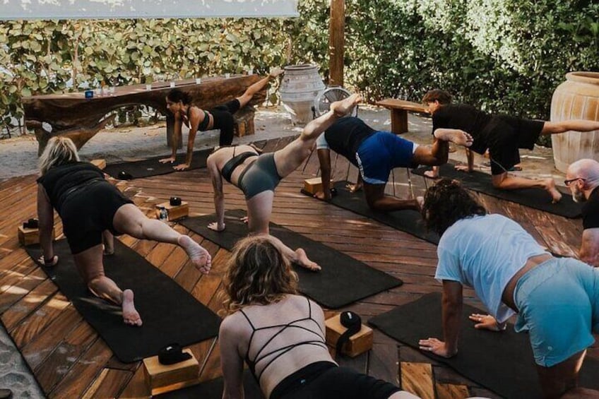 Herradero Flamingos Private Yoga Class Experience