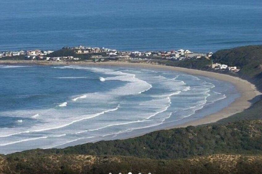 5 Day Garden Route Addo National Park and Botlierskop Game