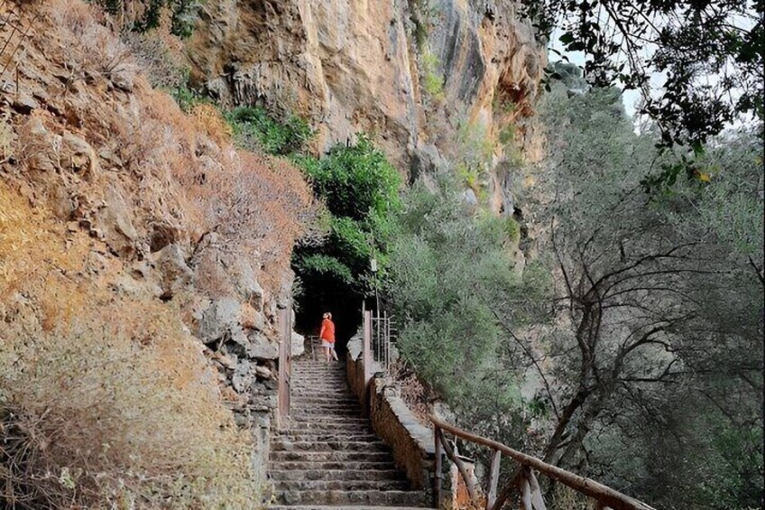 Private Tour Elafonisi Beach with Honey Olive Oil & Wine Tastings
