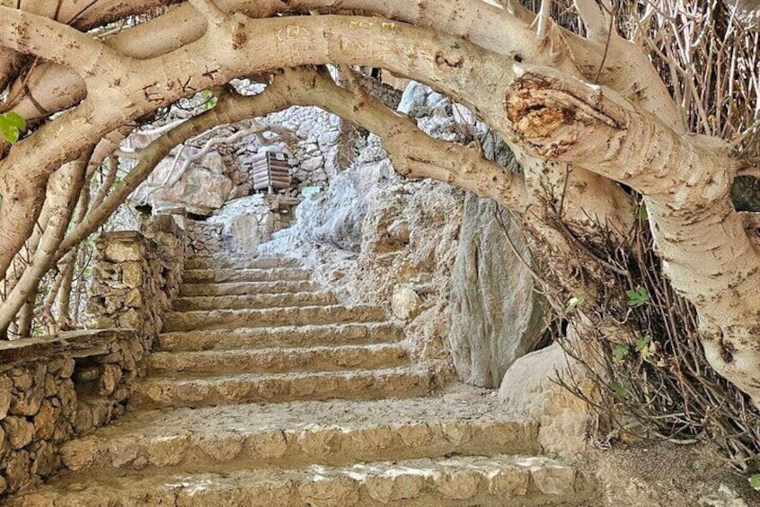 Private Tour Elafonisi Beach with Honey Olive Oil & Wine Tastings