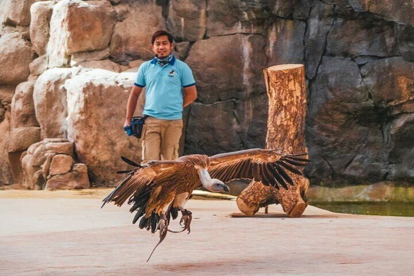 Dubai Safari Park Tickets with Explorer Safari