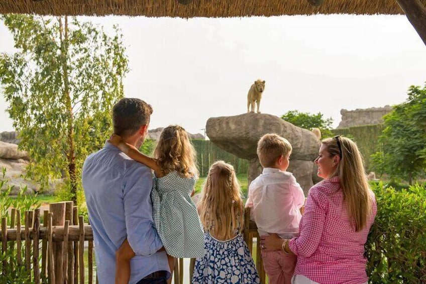 Dubai Safari Park Tickets with Explorer Safari