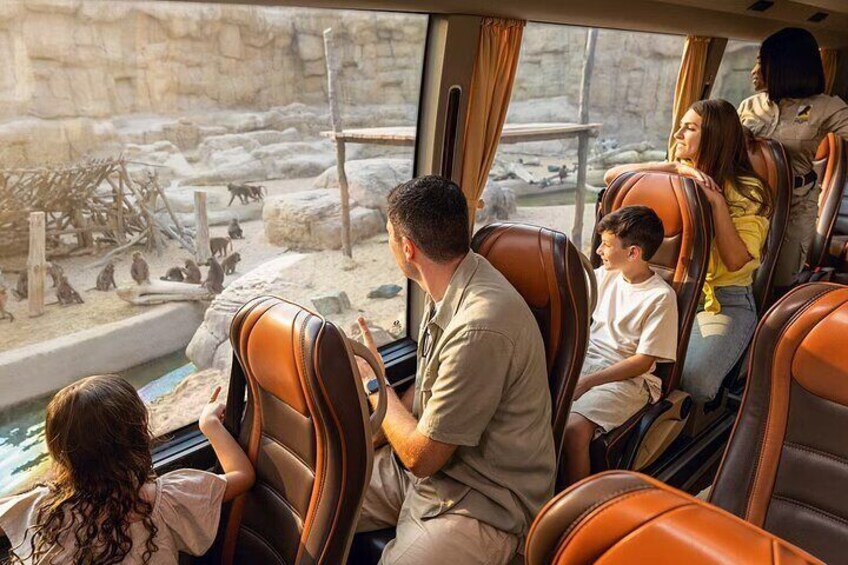 Dubai Safari Park Tickets with Explorer Safari