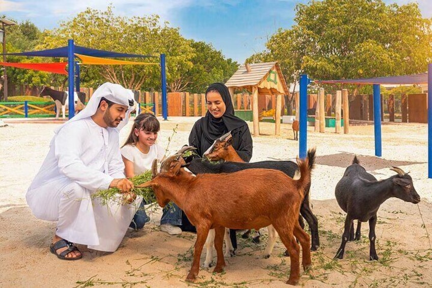 Dubai Safari Park Tickets with Explorer Safari