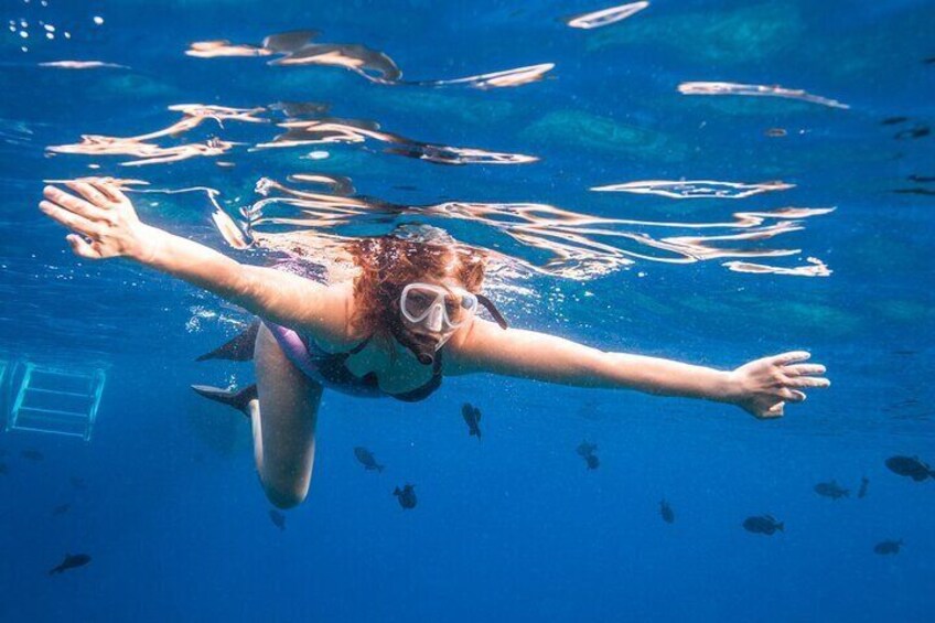 Turtle Reef Snorkel