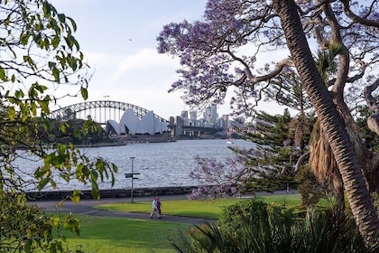 Private Tour: Sydney Your Way