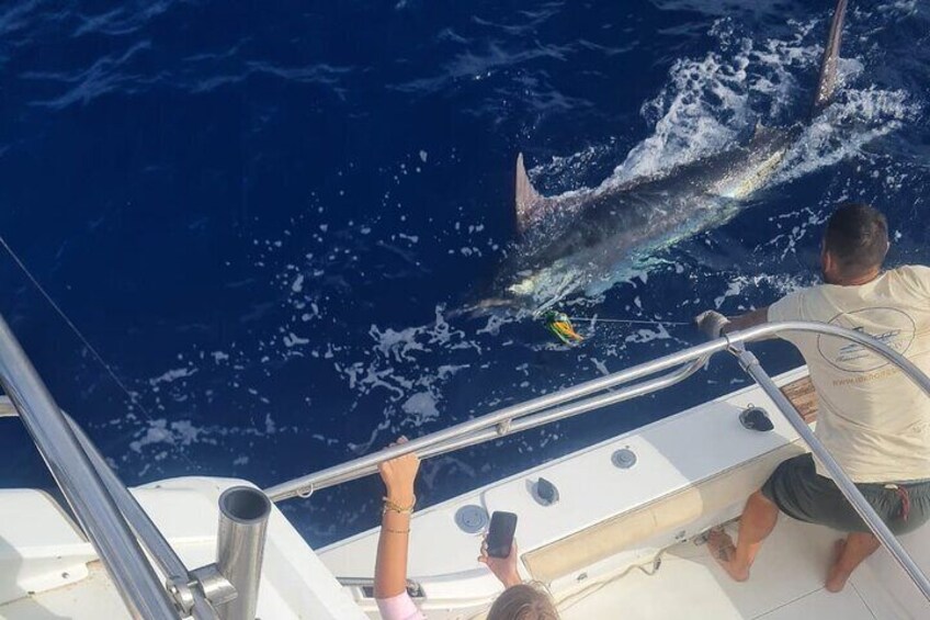 Macaronesia Fishing Charter Canary Islands