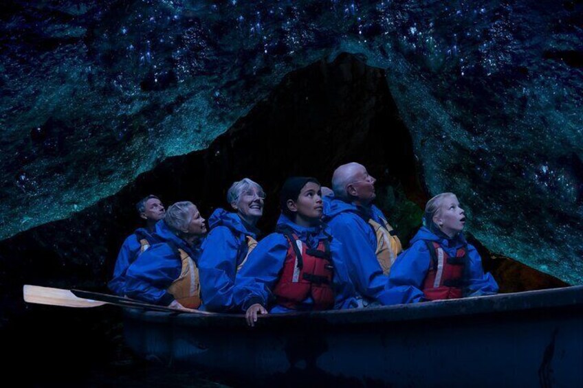 Tauranga Evening Big Kanu Glowworm Tour 