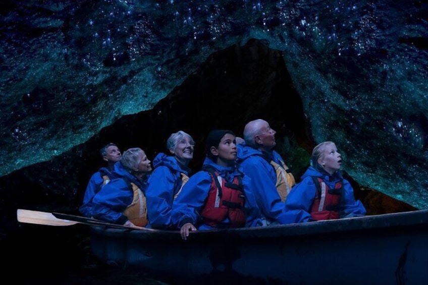 Tauranga Evening Big Kanu Glowworm Tour