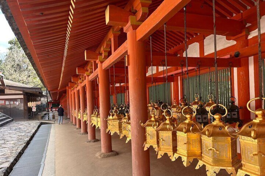 Nara’s Heritage and Sake: A Guided Cultural Walking Tour