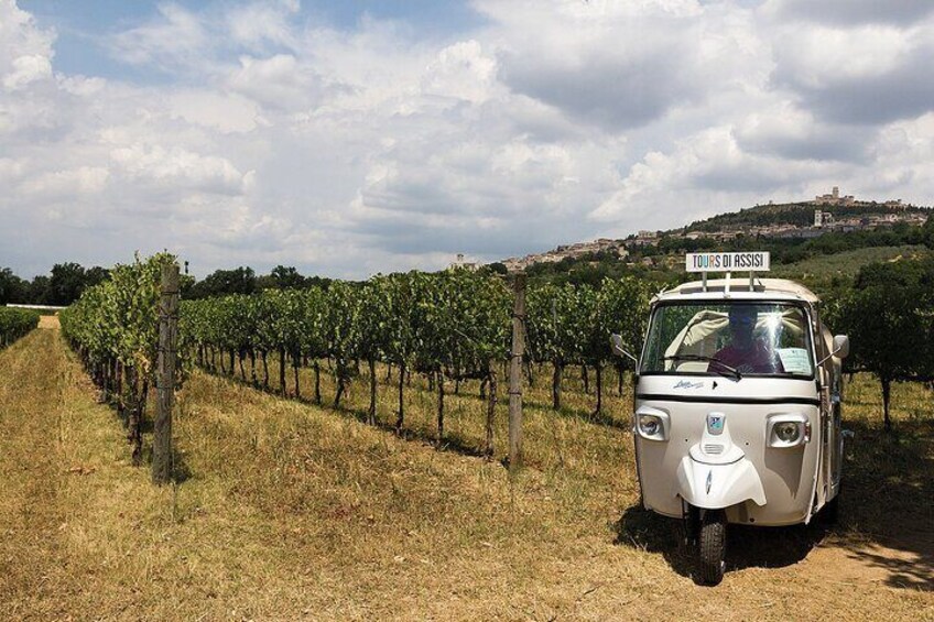 Spello wine tour by tuk tuk in Italian