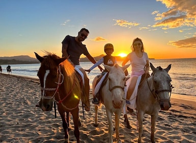 2 Hours Beach Horseback Riding