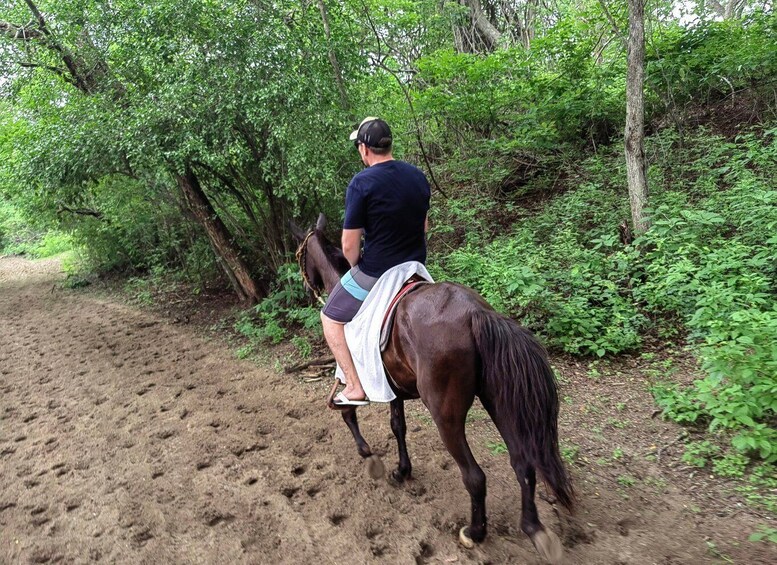 Picture 12 for Activity 2 Hours Beach Horseback Riding