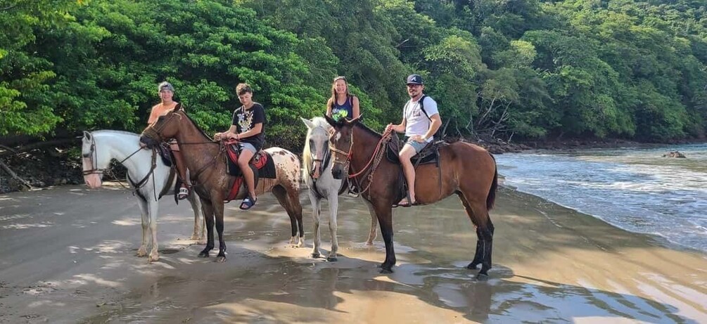 Picture 7 for Activity 2 Hours Beach Horseback Riding