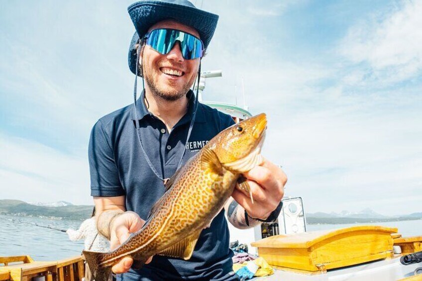 A Taste of Coastal Traditions 