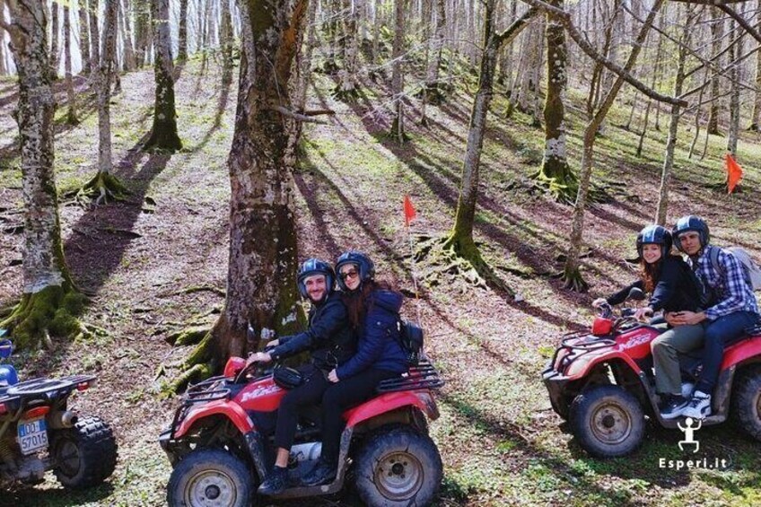 Adventure through shaded trails and light-filled clearings of the Irpinian woods.