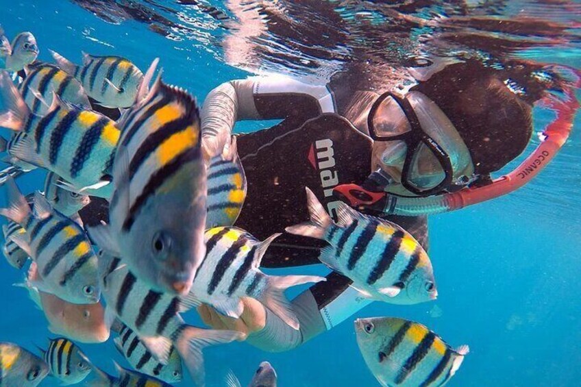 Yanbu Day Trip from Jeddah Snorkeling and Diving