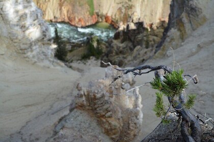 Grand Canyon of Yellowstone Hiking Adventure
