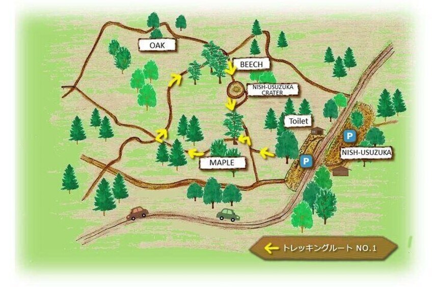Fuji Forest Trekking 4 Hour Tour with a Nature Guide and Transfer