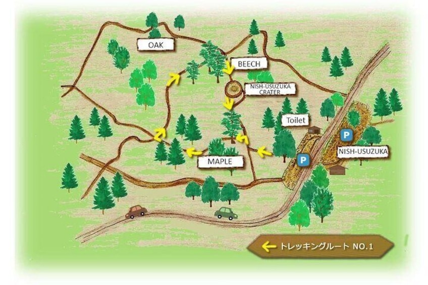 Fuji Forest Trekking 4 Hour Tour with a Nature Guide and Transfer