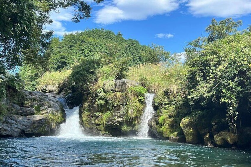 Fuji Forest Trekking 4 Hour Tour with a Nature Guide and Transfer