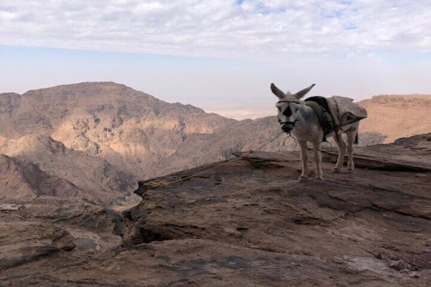 Petra Secret Backdoor Tour