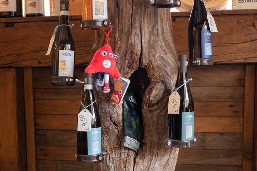 Winery Tour and Guided Tasting of Garda Wines in Valeggio