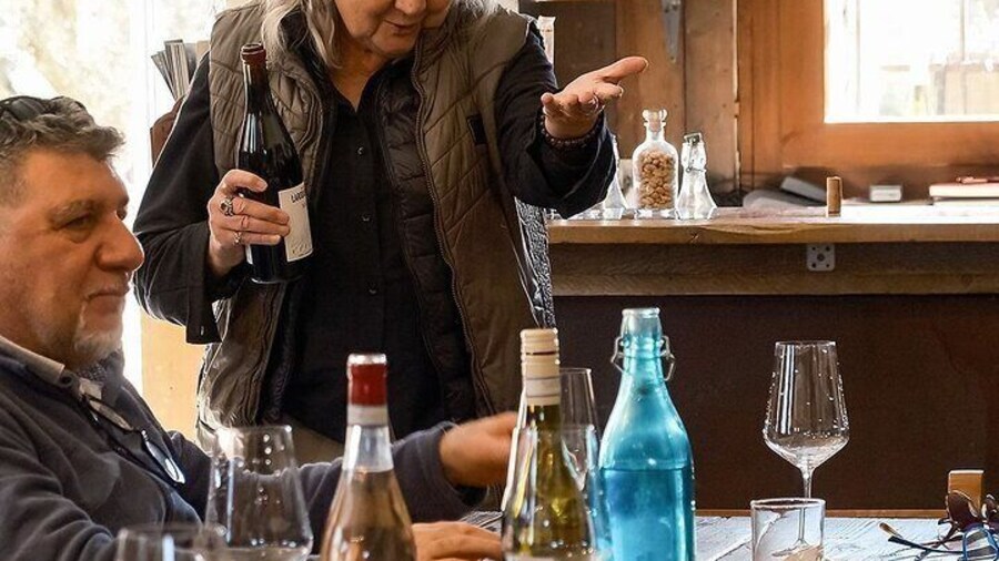 Winery Tour and Guided Tasting of Garda Wines in Valeggio