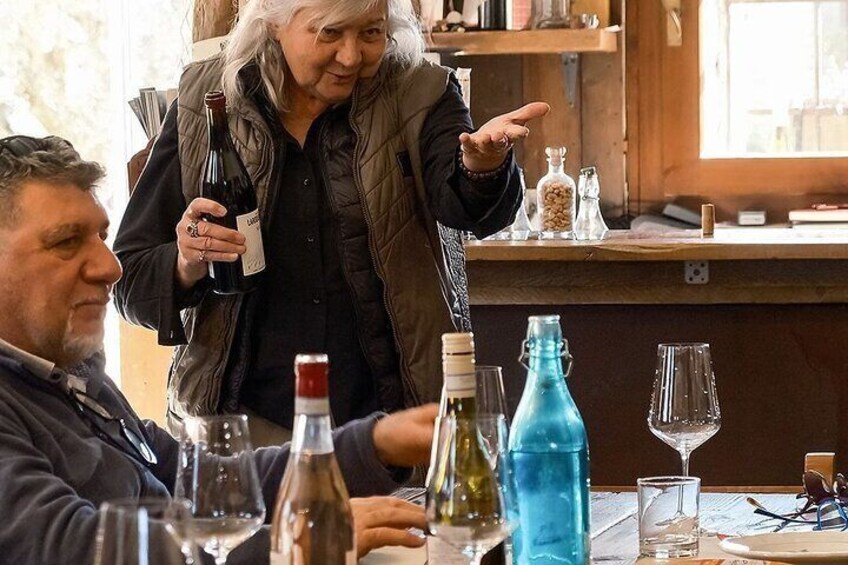 Winery Tour and Guided Tasting of Garda Wines in Valeggio