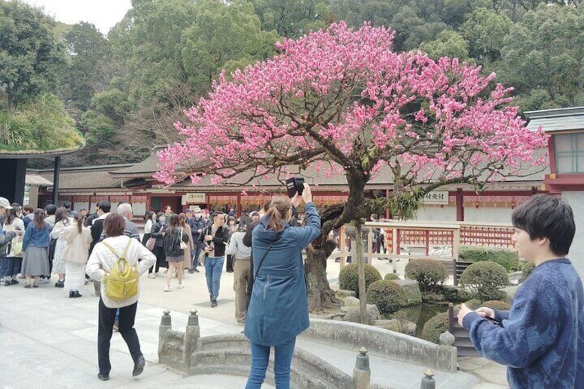 Dazaifu Guided Tour of Ancient Capitals Historic Sites