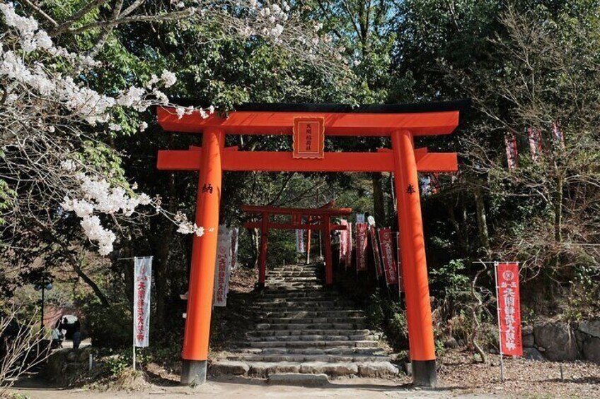 Dazaifu Guided Tour of Ancient Capitals Historic Sites