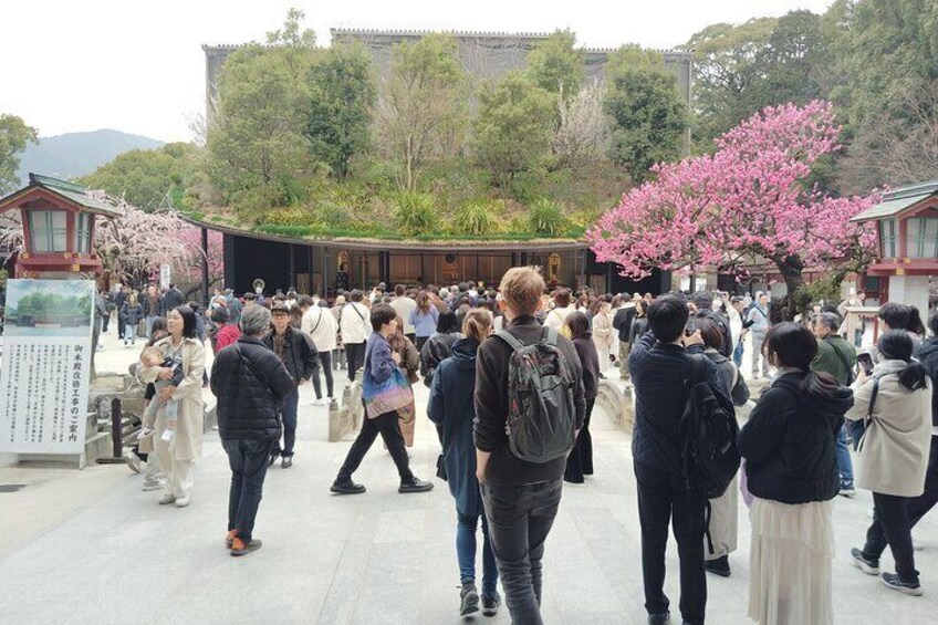 Dazaifu Guided Tour of Ancient Capitals Historic Sites