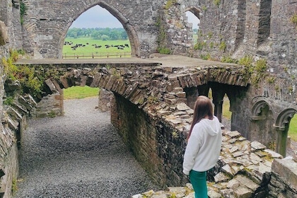 Private Tour from Dublin: Hill of Tara Trim Castle, Celtic sites