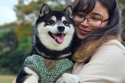 Shiba Inu Walk with Ginta – Yasukuni Shrine Tour in Tokyo