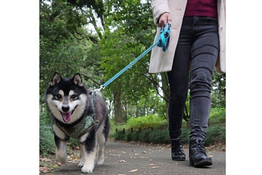  Private Yasukuni Shrine Walking Tour in Tokyo