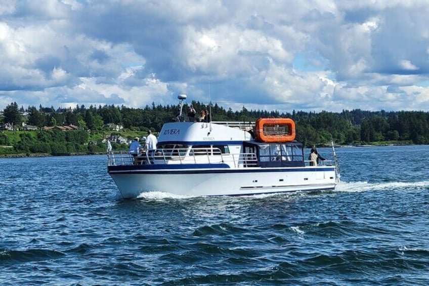 Shared Narrows Bridge Tour from Gig Harbor May 2025