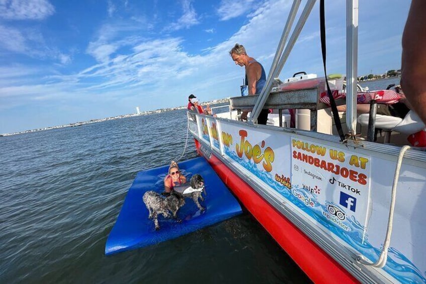 Private Four Hour Sandbar Adventure from West Wildwood