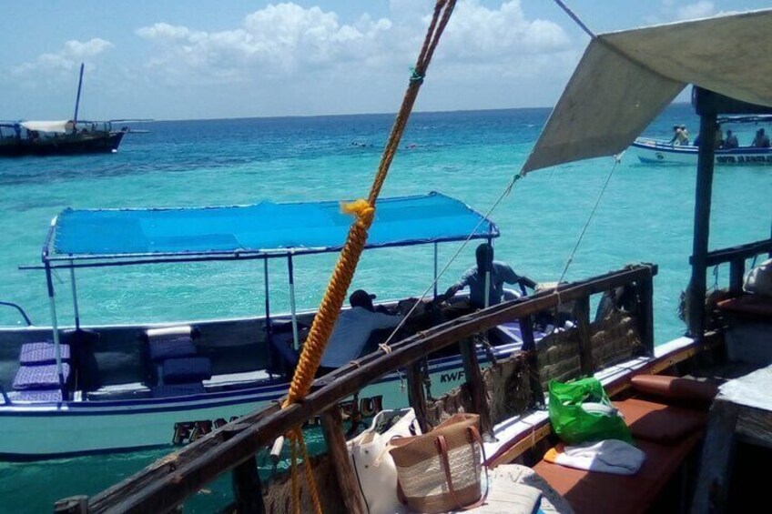 Wasini Island Dolphin Watching and Snorkeling Tour from Diani