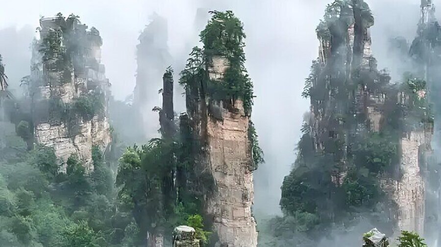 Zhangjiajie Pandora Tour to Avatar Hallelujah Mountain