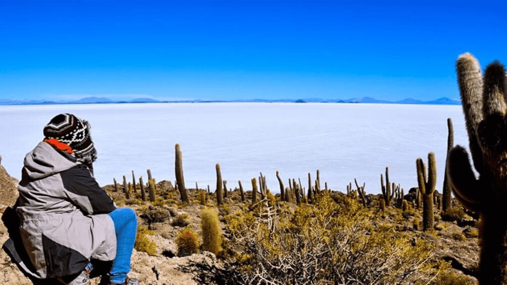 Picture 7 for Activity Uyuni Salt Flats Full Day Tour