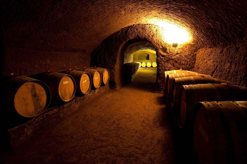 Picture 1 for Activity Orvieto: Tour and wine tasting at Tenuta Le Velette