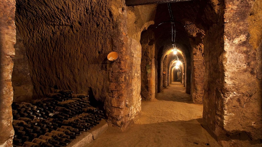 Orvieto: Tour and wine tasting at Tenuta Le Velette