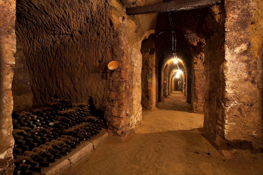Orvieto: Tour and wine tasting at Tenuta Le Velette