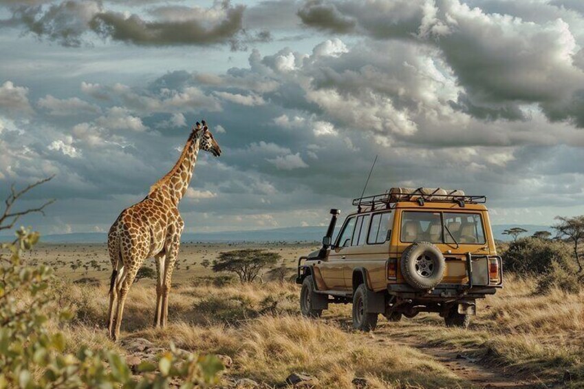 Chobe Day Trip