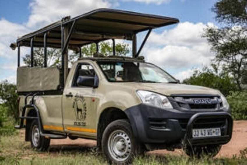 Full Day Kruger Safari