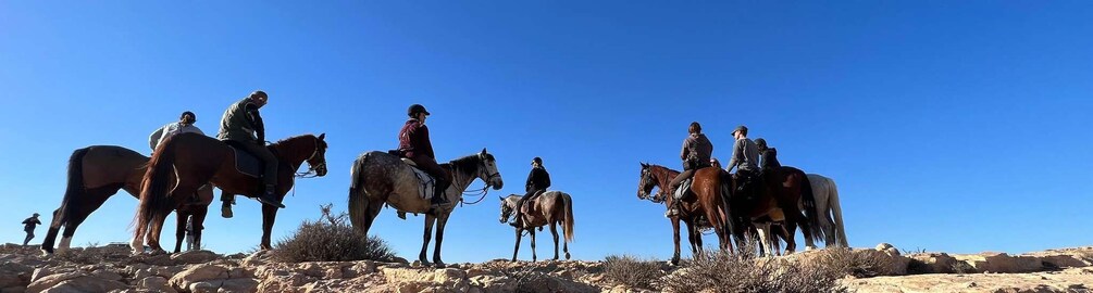 Picture 7 for Activity Authentic Tozeur on horseback with private transfer