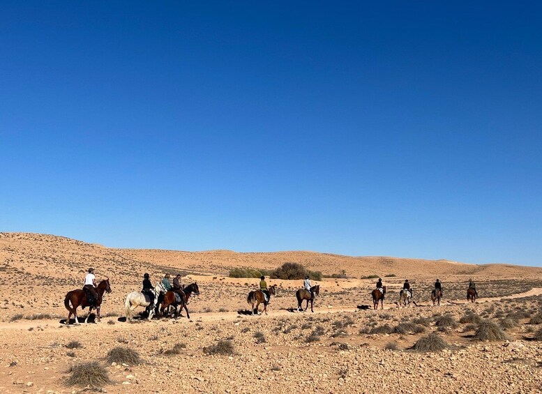 Picture 5 for Activity Authentic Tozeur on horseback with private transfer